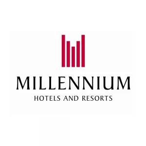 millenium-300x300-1-png.webp
